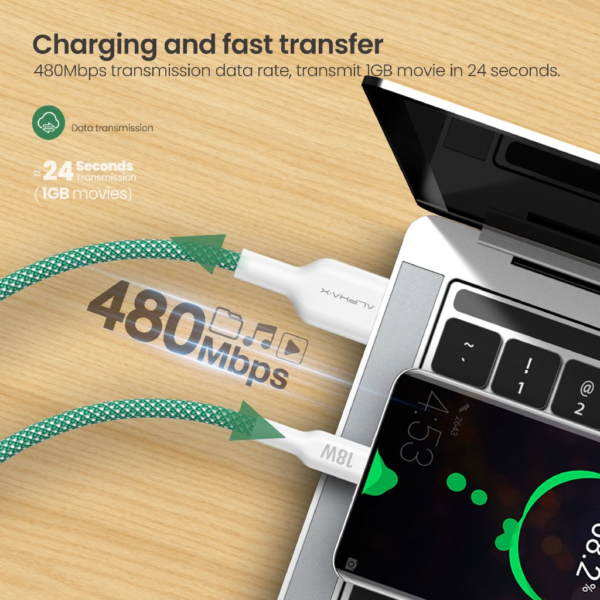 my-11134207-7rash-m1f87tel606p4c.png ALPHA·X ALUSB 2C Data Cable USB A to Type C 1.2m Braided Cable Heat Protection (Green)